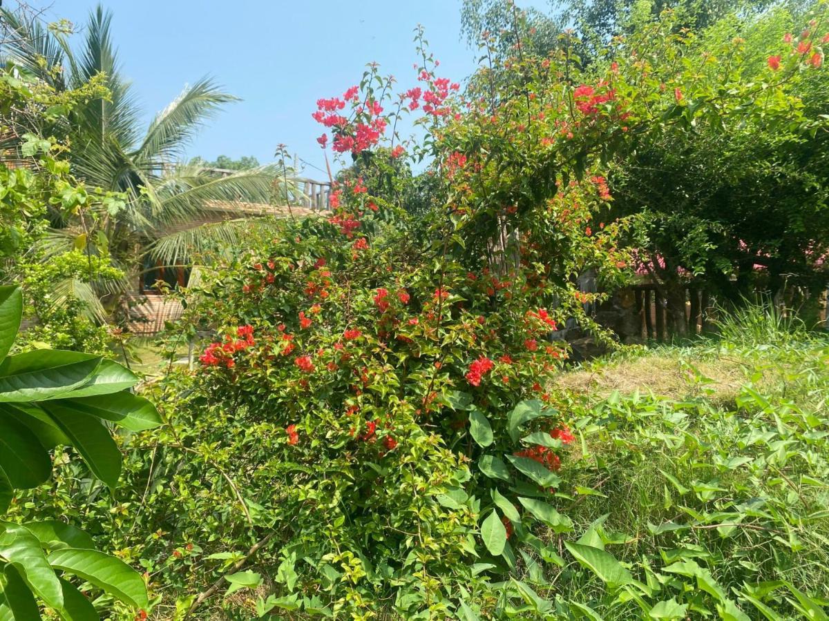 Ngoc Tien Farmer Eco Lodge 캇 티엔 외부 사진